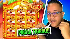 jogo do tiger teste grátis para mobile